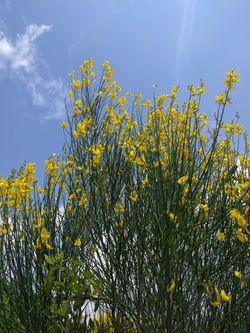 IMG_20190507_111733