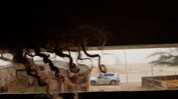 20190106_160313