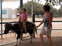 יער האיילים