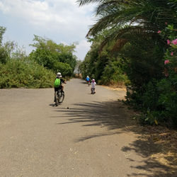 IMG_20190614_181236_549