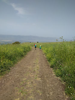 IMG_20190501_112511