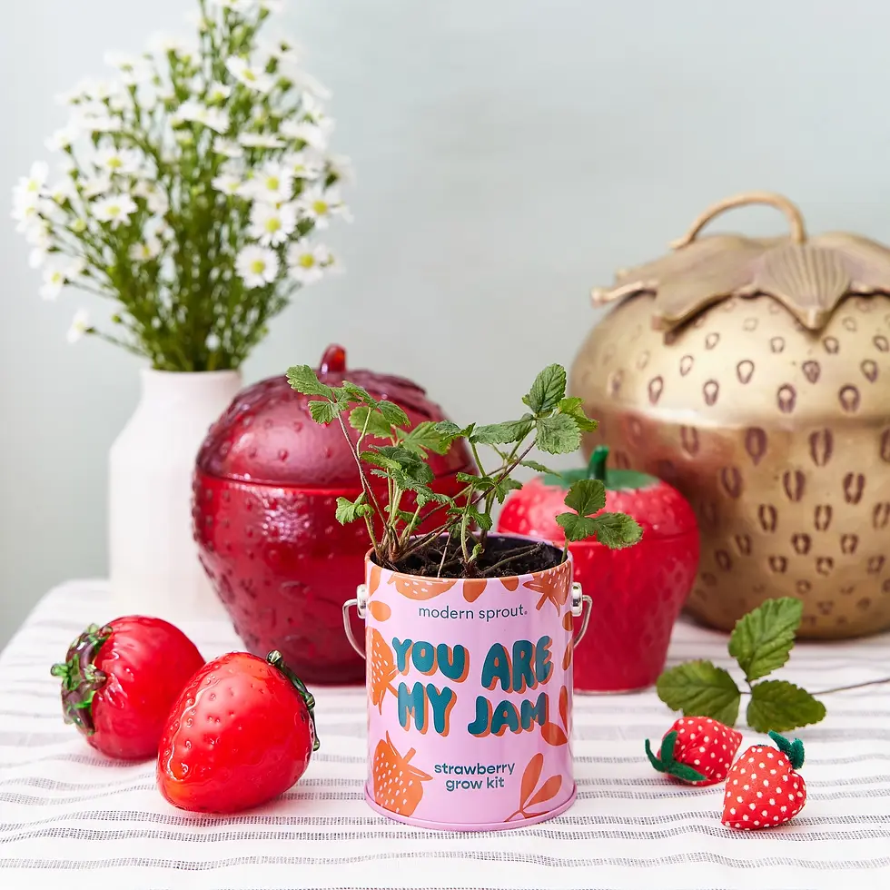 Thumbnail: Paint Tin Grow Kits