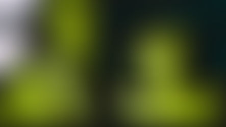 Car Tour 4 The False Start