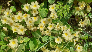 Odds and Sods April 2026