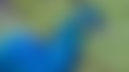 River Avon Moor to Sea 6