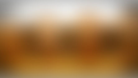 400 Elephants More or Less