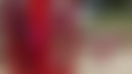 The Mad Hatter's Tea Party