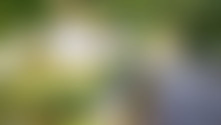 River Avon Moor to Sea 14