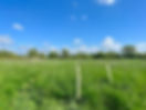 IMG_6792.jpeg