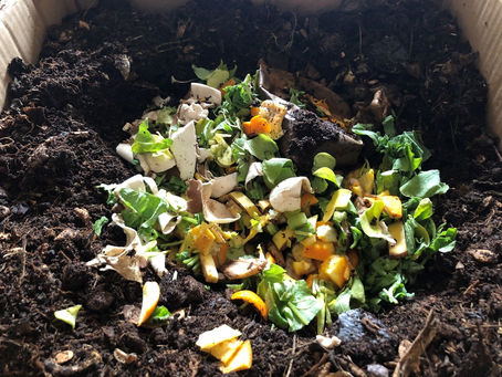 L'apport des morceaux de biodéchets au compost d'appartement