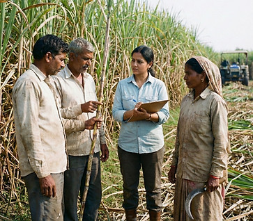 india.jpeg