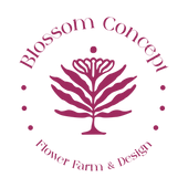 Logo_Blossom-01.png