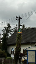 IMG_1101.jpg