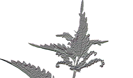 Edgelands, contemporary art, art gifts, handmade gifts, island art, fine art, coastal art, nature art, heritage craft, Indigenous art, Inuit Art, First Nations Art, Aboriginal Art, island artist, ceramics, pottery, exclusive jewellery, statement jewellery, handmade jewellery, limited edition prints, printmaking, framed prints, drawings, biodiversity, regenerative farming, west coast scotland, celtic art, gaelic art, explore kintyre, visit Gigha, alba art, Isle of Gigha, Edgelands Art Gallery & cultural centre, community garden, cultural space, Scotland art gallery.