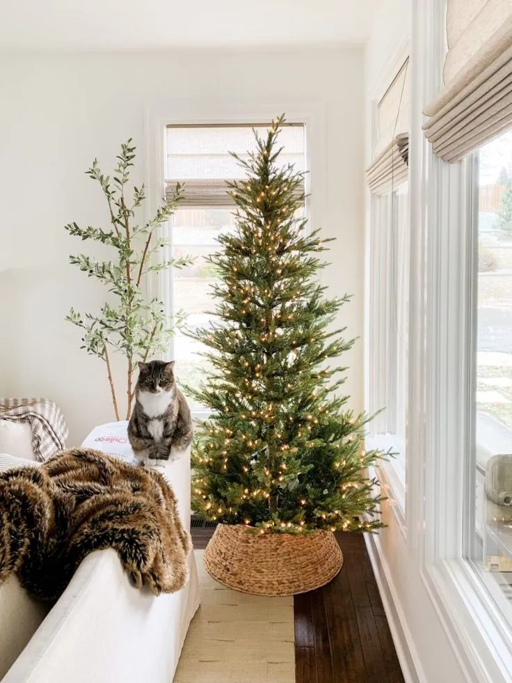 Calm living room with real Christmas tree and cat — natural festive décor with simple, meaningful style.