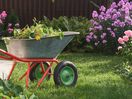 préparer son jardin pour la rentrée 