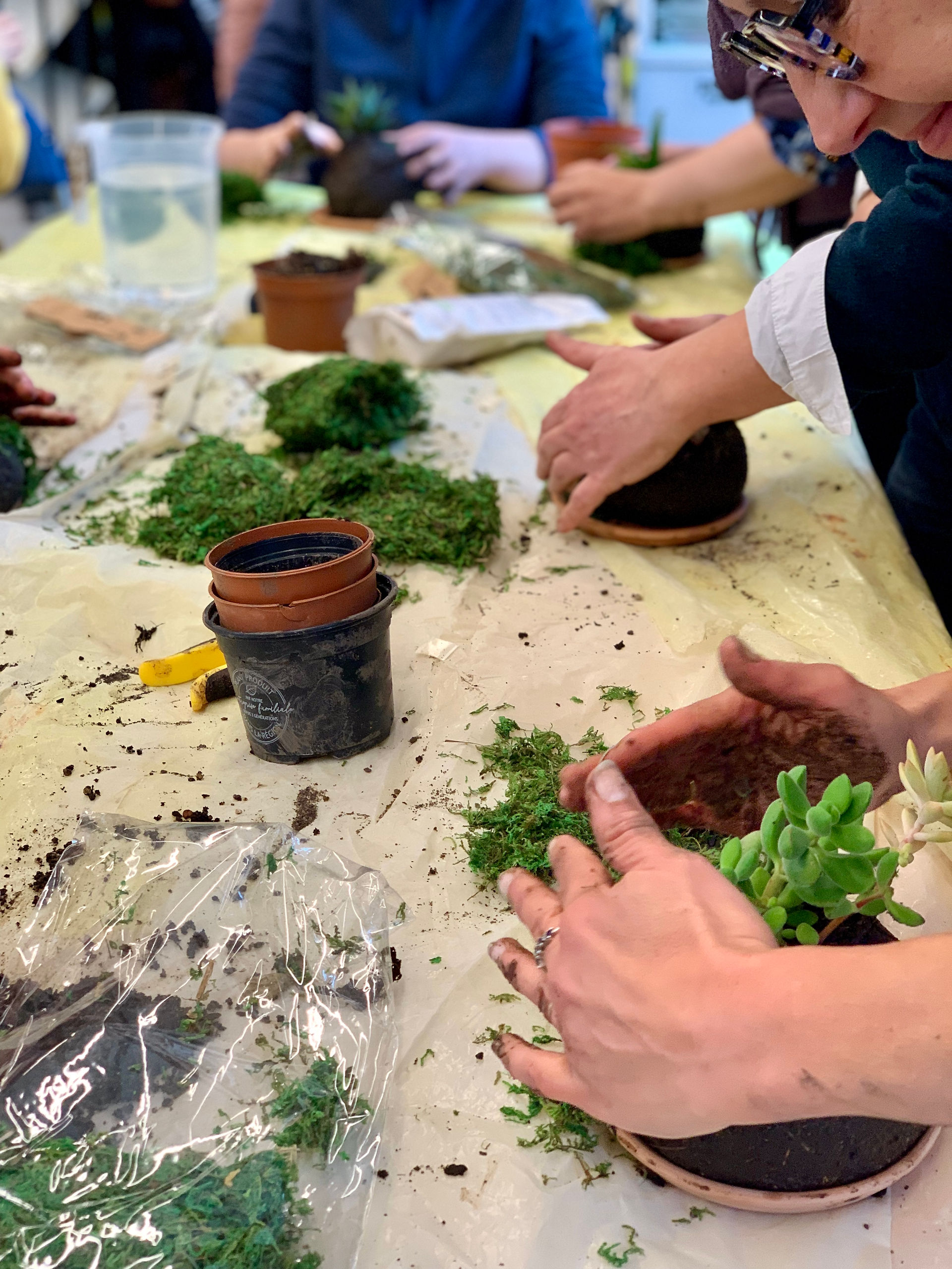 Atelier jardinage thérapeutique accompagnement 