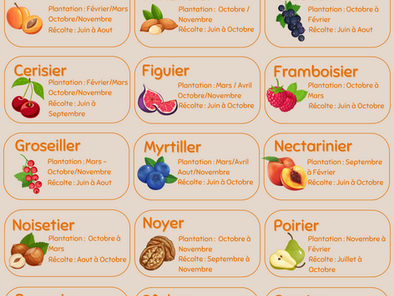 Calendrier des plantations, arbres fruitiers.