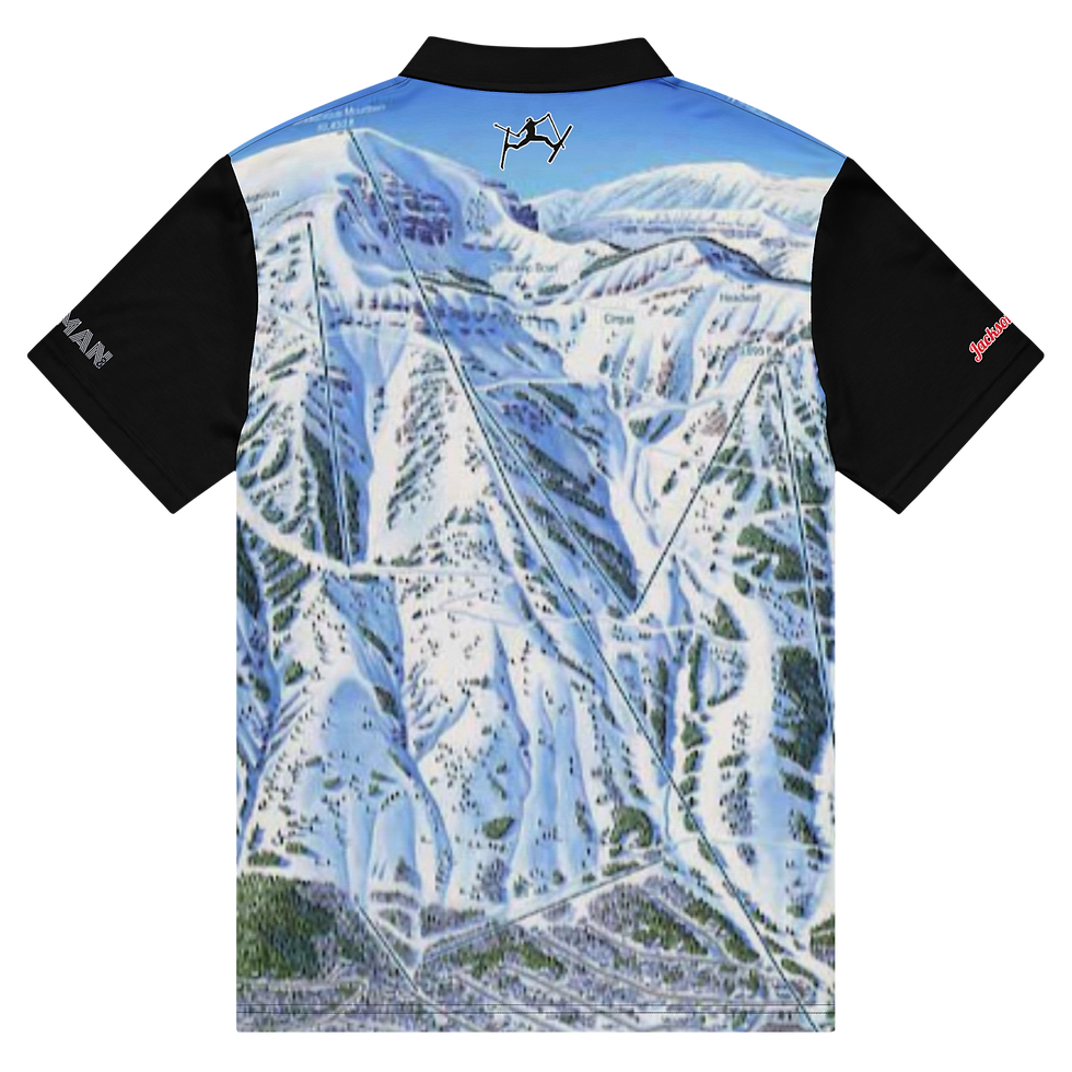 Thumbnail: SKIMAN JACKSON HOLE Men’s slim fit polo
