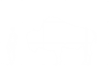 bison_size.png