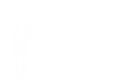 coyote_size.png