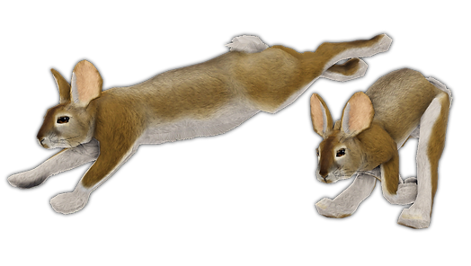 brushrabbit.png