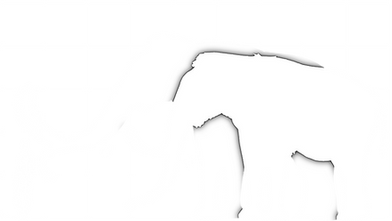 mammoth_sizes.png