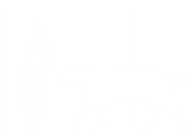 smilodon_size.png