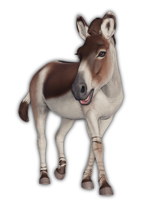 pony_icon.png