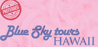 ps-bluesky_hawaii-logo_edited_edited.jpg