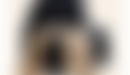 Folding Sofa Bed, 3-in-1 Convertible with Shredded Memory Foam