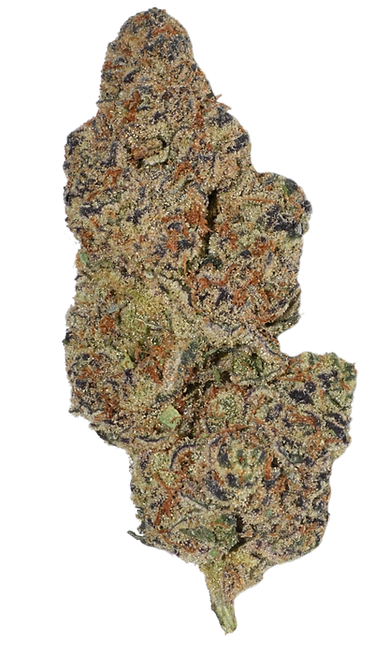 IRIE Web Page (16).png