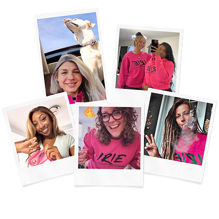 IRIE Web Page (24).png