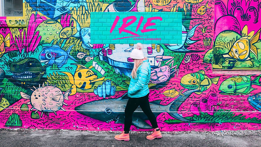 IRIE Web Page (3).jpg