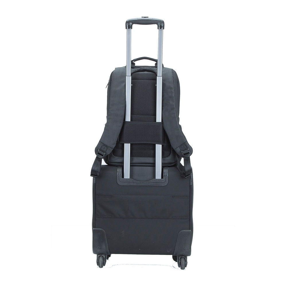 الصورة المصغرة: RIVACASE 8165 black Laptop business backpack 15.6" / 6