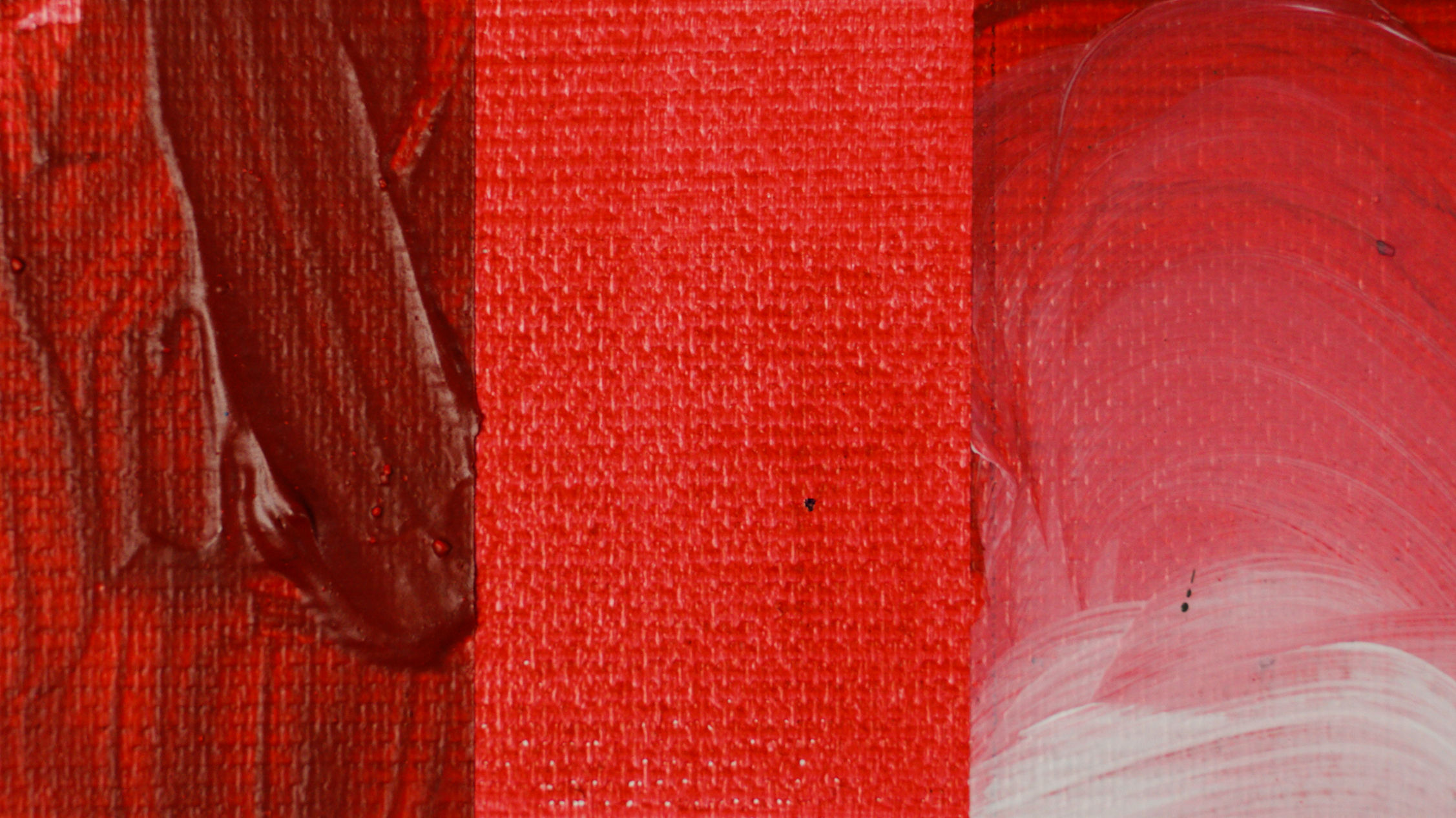 XTC אדום רוז 16