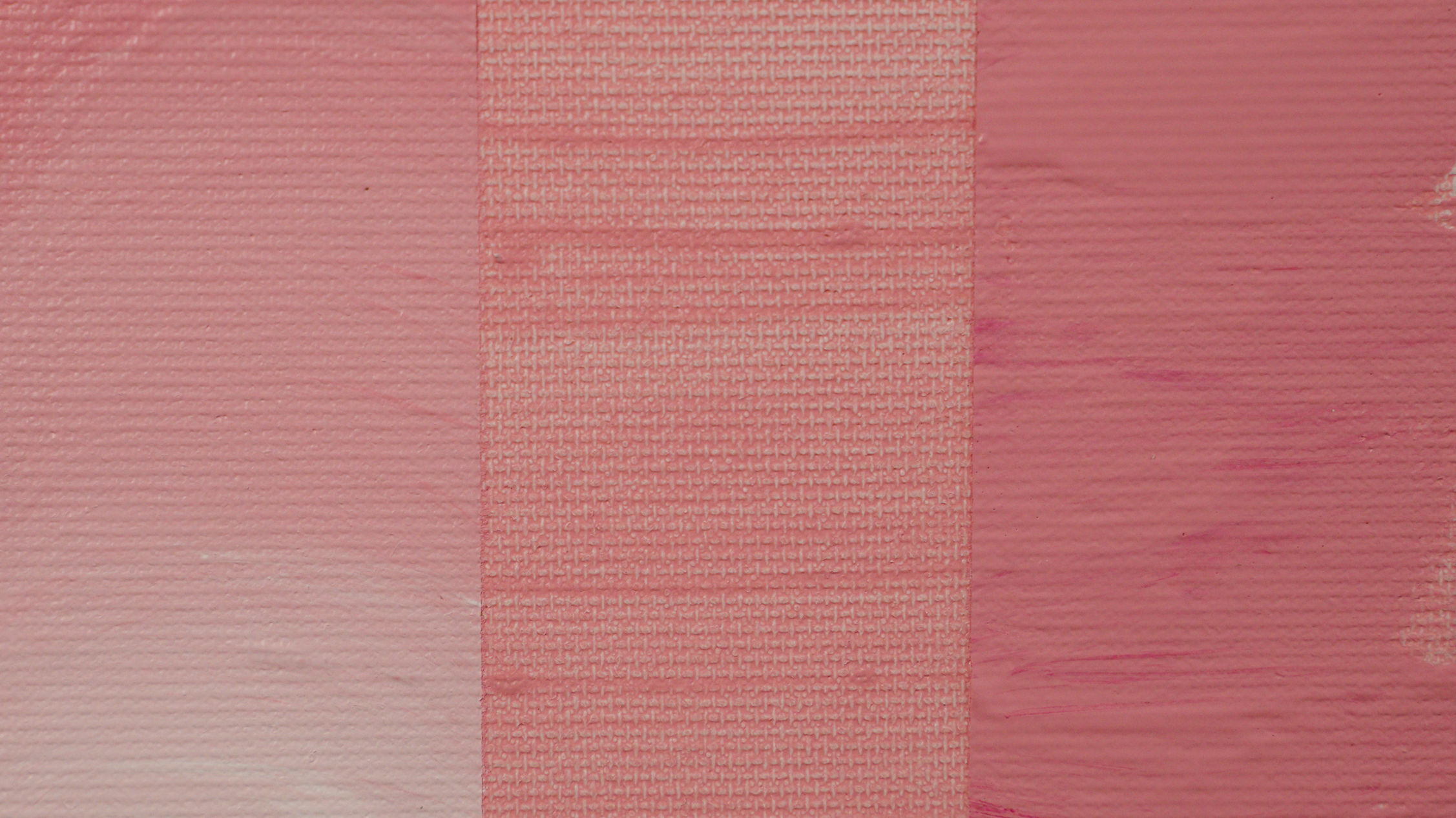 PRO אינדיאן רוז/INDIAN ROSE 25