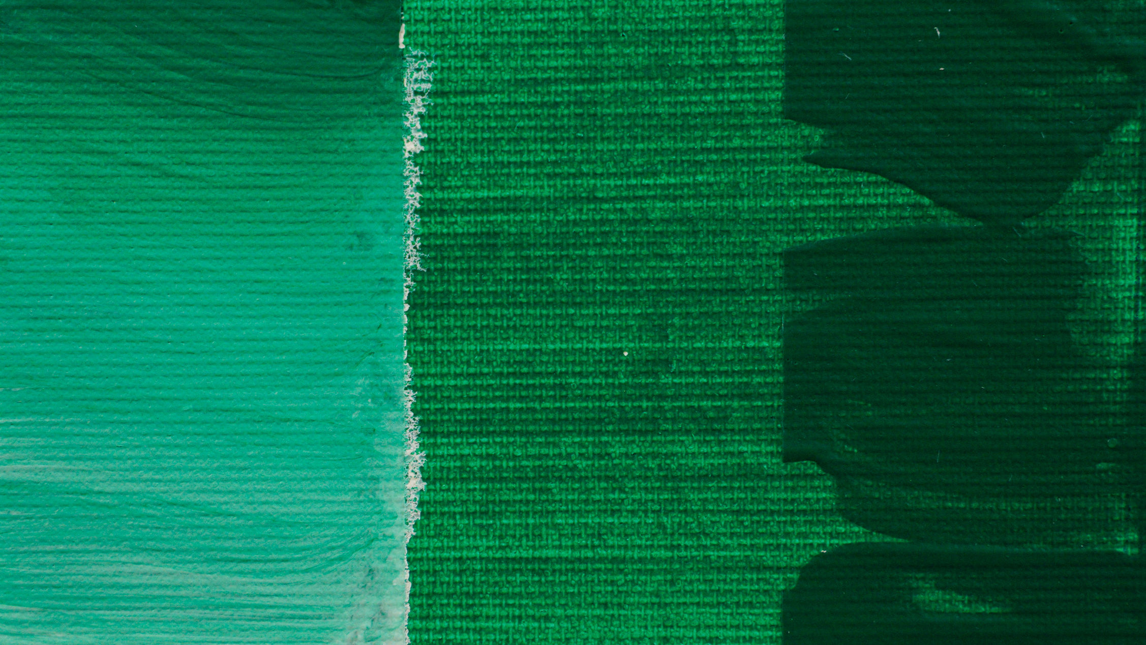 PRO ירוק וירידיאן/VIRIDIAN 42