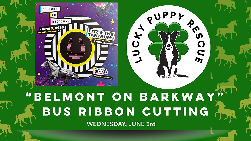 "Belmont on Barkway"- Bus Ribbon Cutting