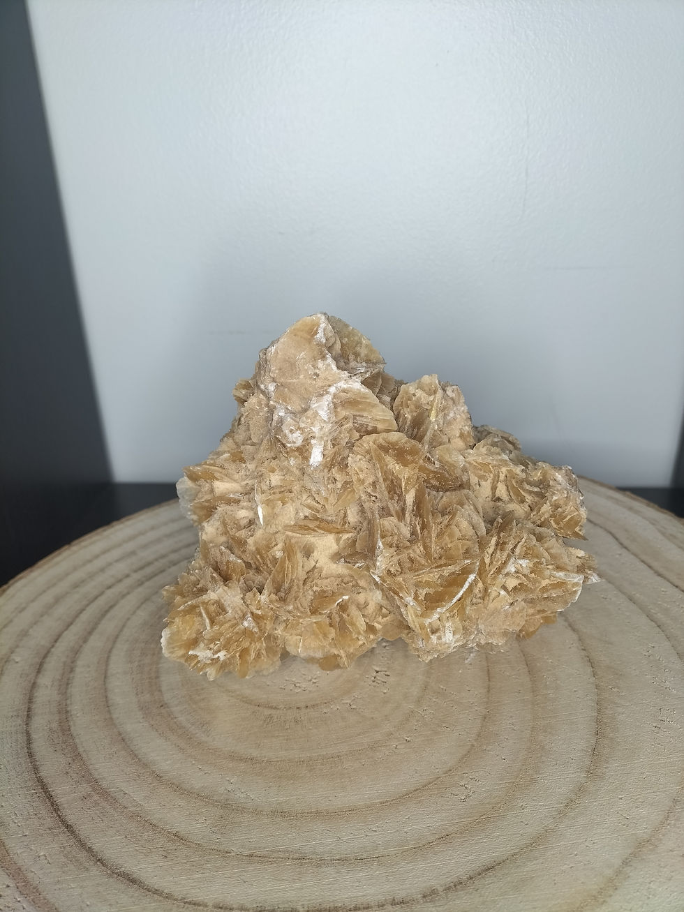 Miniature : Rose des sables n°2
