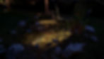 Teichbeleuchtung in Fully mit LuxR Modux 2 Pond Teichleuchte