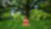 Screen Shot 2021-11-25 at 8.49.04 AM.JPG