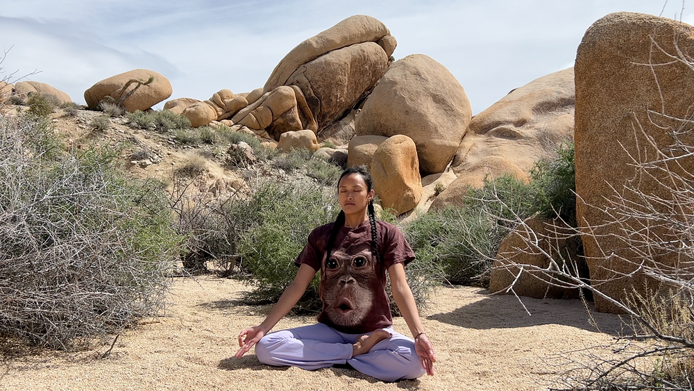 20 Min Guided Breathwork To Reset Your Nervous System 5 Rounds 20 Min Guided Breathwork To Reset Your Nervous System 5 Rounds