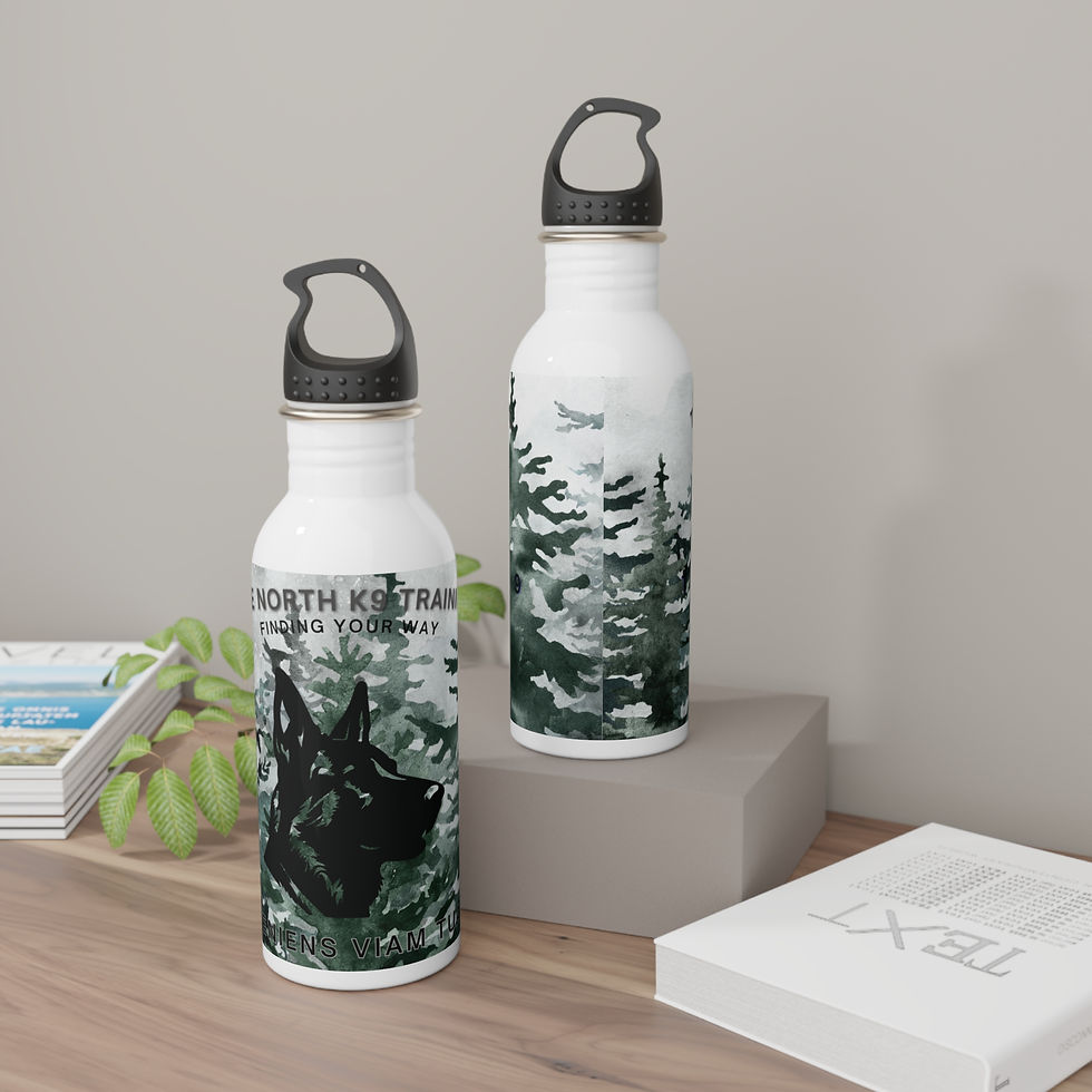 Thumbnail: True North K9 Stainless Steel Water Bottle