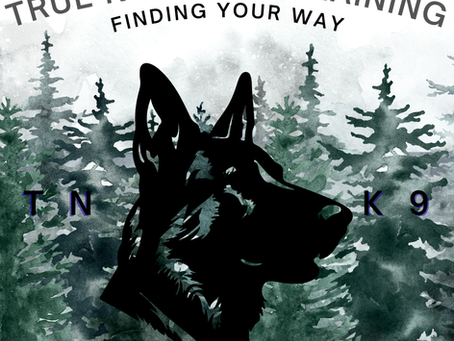 Effective Dog Training: Balance for Lasting Obedience