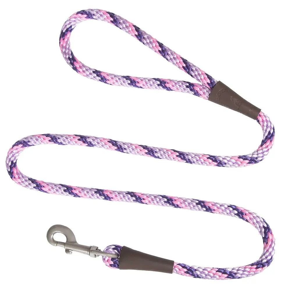 Thumbnail: Mendota Snap Leash