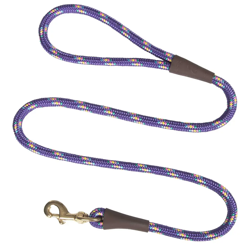 Thumbnail: Mendota Snap Leash