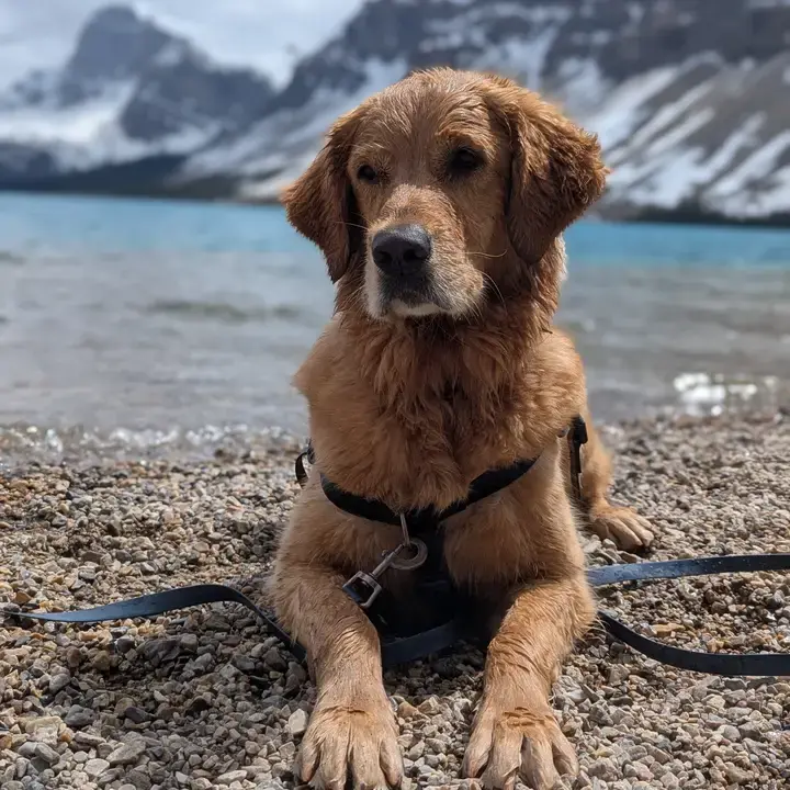 Thumbnail: 30ft Waterproof Long Line