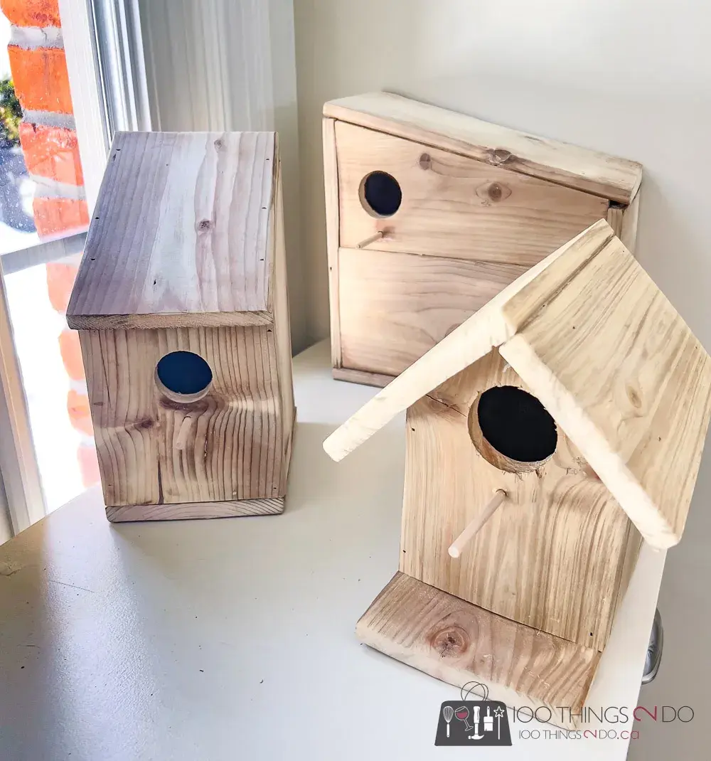 Free birdhouse plans by 100 Things to Do