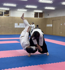 S__48390233_0_edited